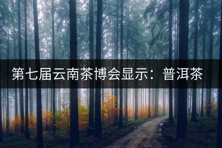 第七屆云南茶博會(huì)顯示：普洱茶開始回歸理性