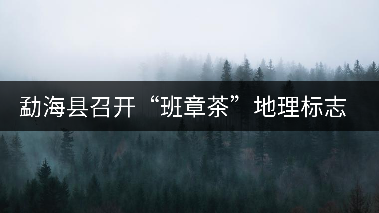 勐海縣召開“班章茶”地理標志認證評審會