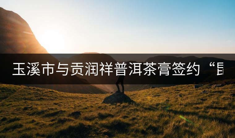 玉溪市與貢潤祥普洱茶膏簽約“昆交會”