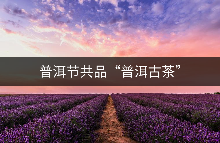 普洱節(jié)共品“普洱古茶”