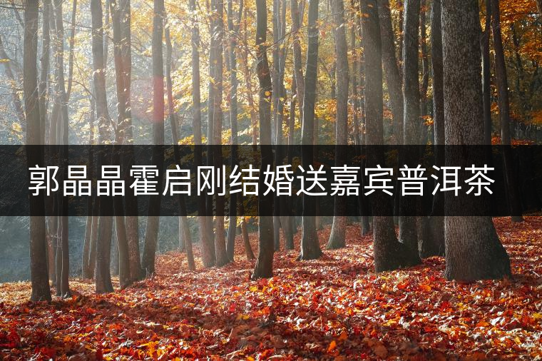 郭晶晶霍啟剛結(jié)婚送嘉賓普洱茶當(dāng)禮物