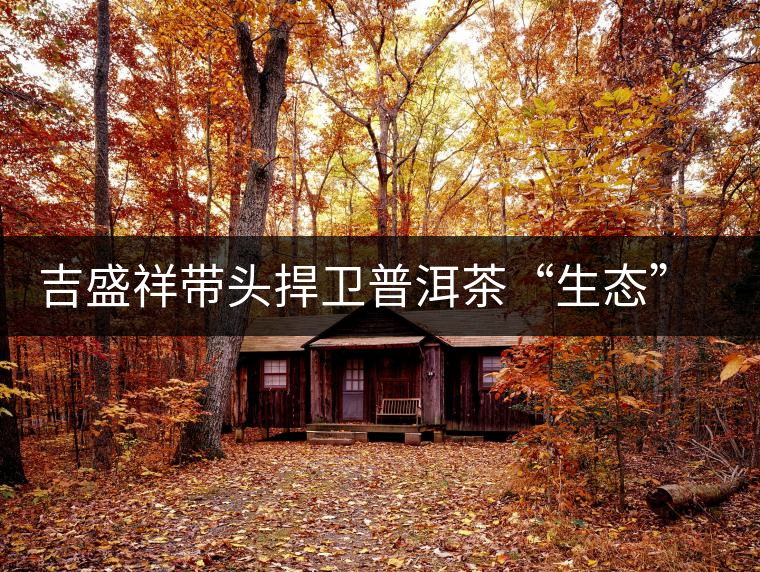 吉盛祥帶頭捍衛(wèi)普洱茶“生態(tài)”坐標