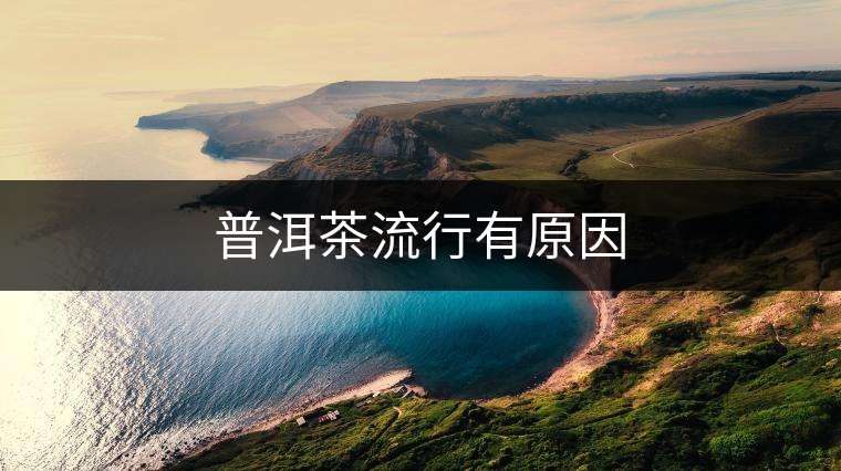 普洱茶流行有原因