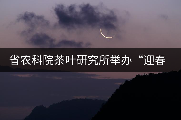 省農(nóng)科院茶葉研究所舉辦“迎春節(jié)、慶元旦”籃球聯(lián)誼賽