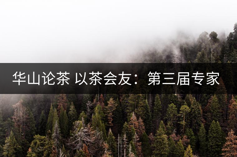 華山論茶 以茶會友：第三屆專家評茶會