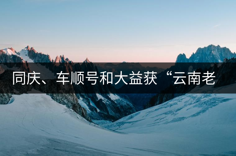 同慶、車順號和大益獲“云南老字號”稱號 同慶、車順號和大益獲“云南老字號”稱號