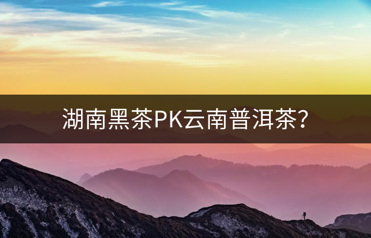 湖南黑茶PK云南普洱茶？