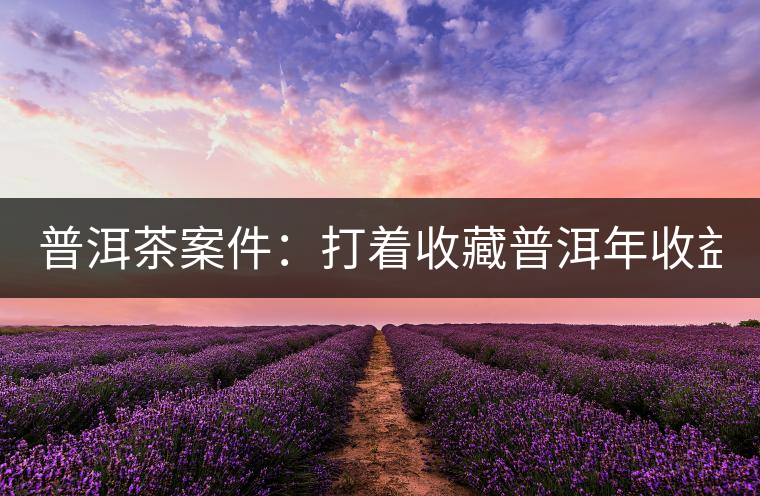 普洱茶案件：打著收藏普洱年收益不低于16%，非法吸收公眾存款