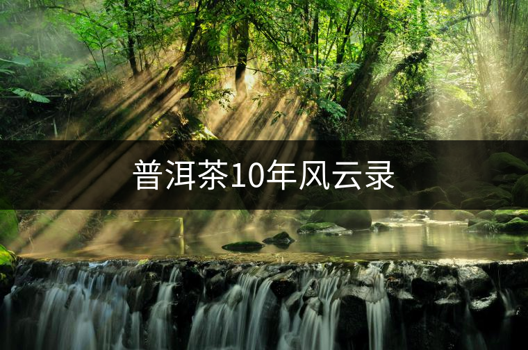 普洱茶10年風云錄