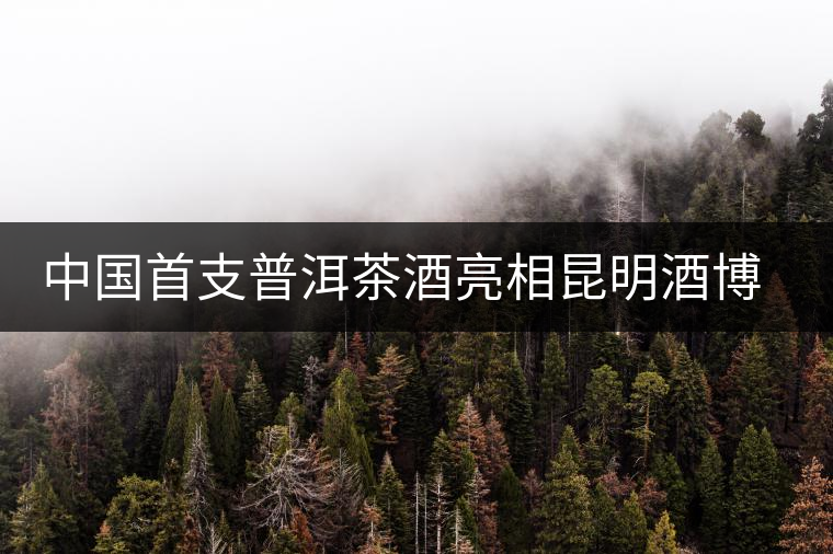 中國首支普洱茶酒亮相昆明酒博會 中國首支普洱茶酒亮相昆明酒博會