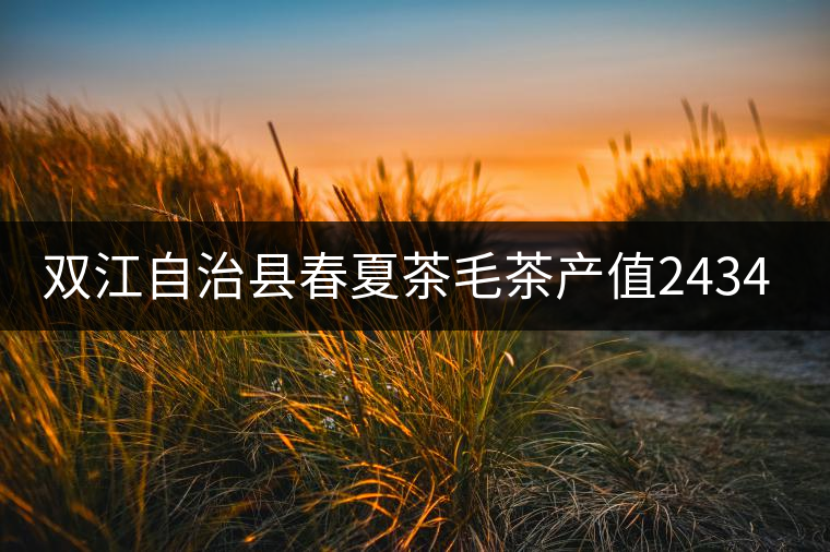 雙江自治縣春夏茶毛茶產(chǎn)值243465.12萬(wàn)元，平均價(jià)穩(wěn)居全市版首