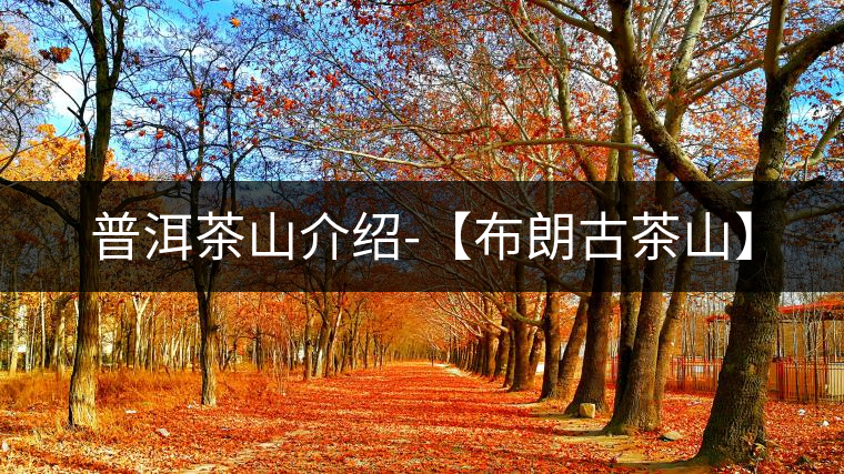 普洱茶山介紹-【布朗古茶山】