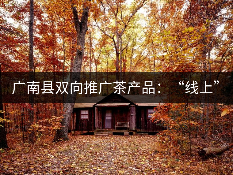 廣南縣雙向推廣茶產(chǎn)品：“線上”銷(xiāo)售茶葉已有100多家，“線下”銷(xiāo)售額已達(dá)百萬(wàn)