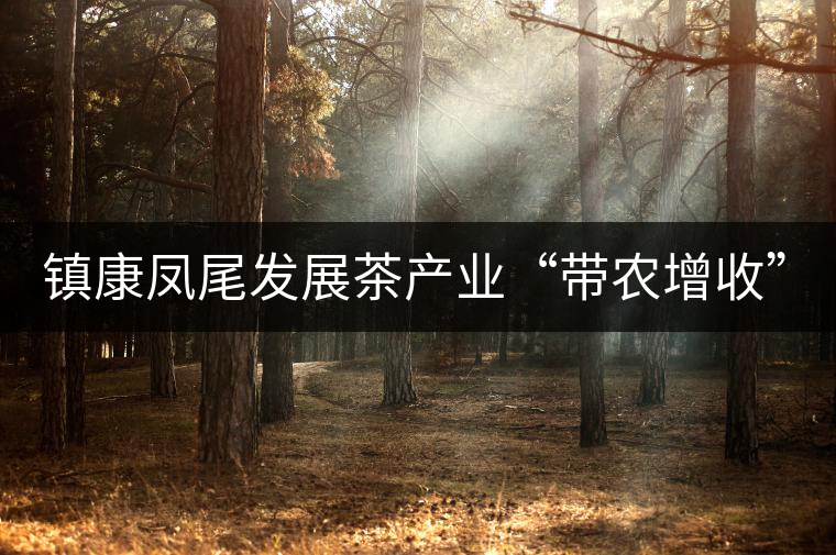 鎮(zhèn)康鳳尾發(fā)展茶產(chǎn)業(yè)“帶農(nóng)增收”，由2012年380萬元增長到1260萬元