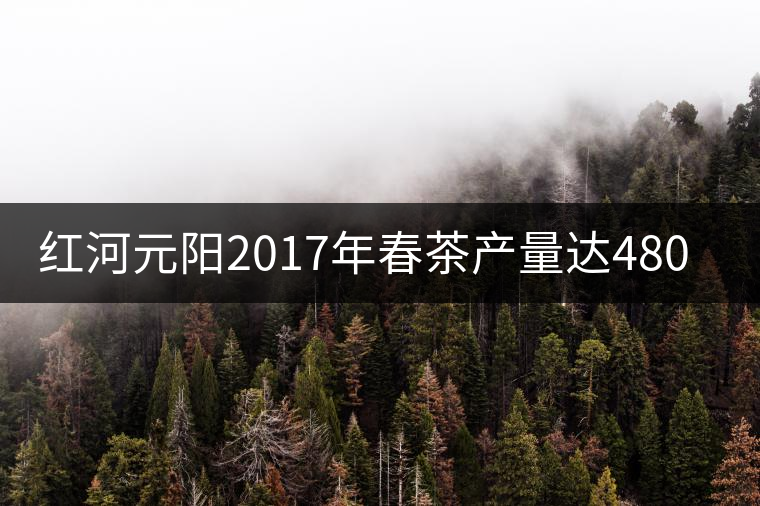 紅河元陽(yáng)2017年春茶產(chǎn)量達(dá)480噸，產(chǎn)值近900萬(wàn)元