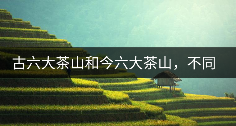 古六大茶山和今六大茶山，不同普洱茶品質(zhì)