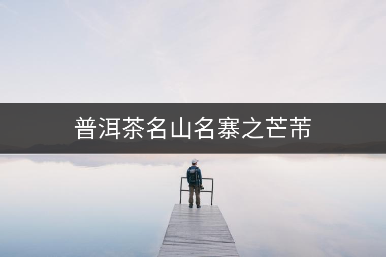 普洱茶名山名寨之芒芾 普洱茶名山名寨之芒芾