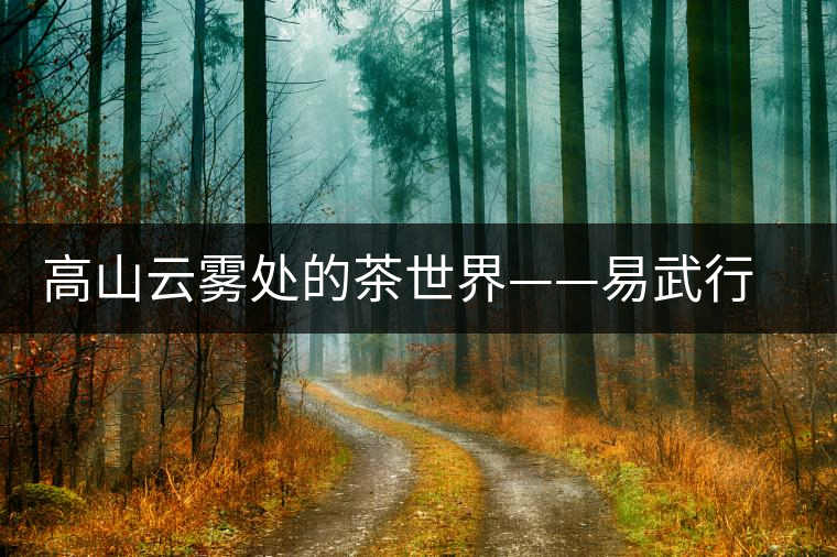 高山云霧處的茶世界——易武行走記之茶園村寨
