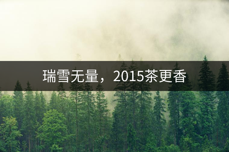 瑞雪無量，2015茶更香