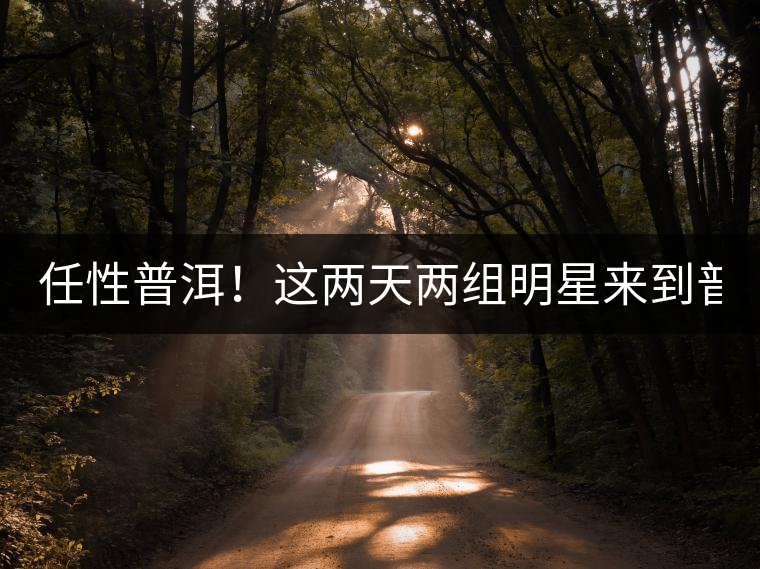 任性普洱！這兩天兩組明星來(lái)到普洱！