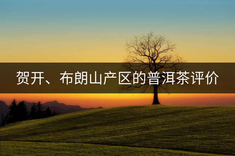 賀開(kāi)、布朗山產(chǎn)區(qū)的普洱茶評(píng)價(jià)
