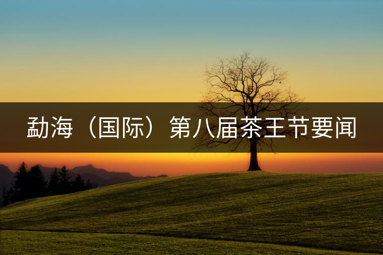 勐海（國(guó)際）第八屆茶王節(jié)要聞