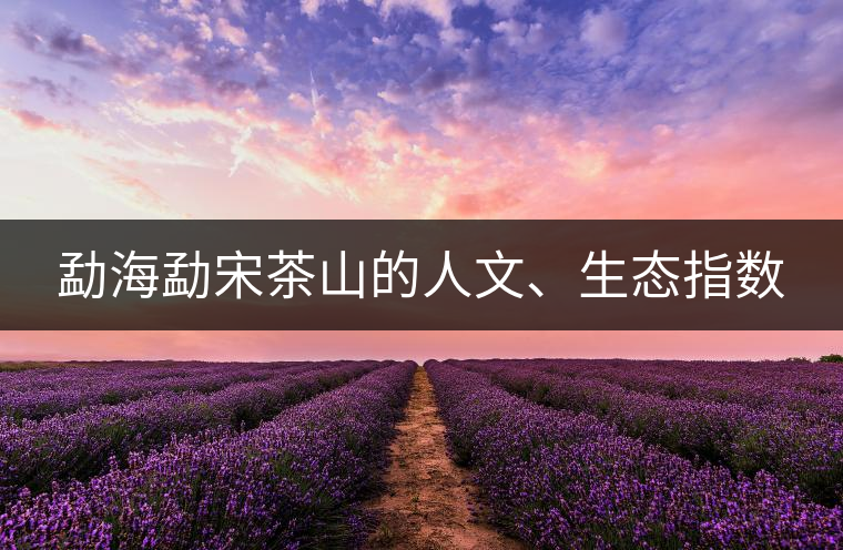 勐海勐宋茶山的人文、生態(tài)指數(shù)