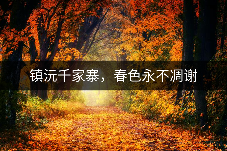 鎮(zhèn)沅千家寨，春色永不凋謝