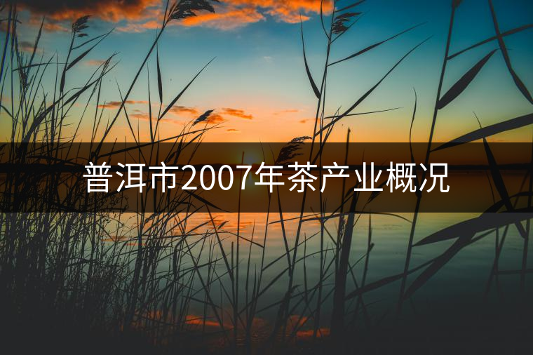 普洱市2007年茶產業(yè)概況 普洱市2007年茶產業(yè)概況