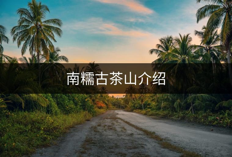 南糯古茶山介紹