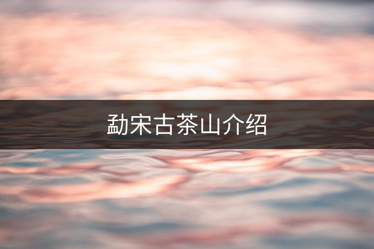 勐宋古茶山介紹 勐宋古茶山介紹