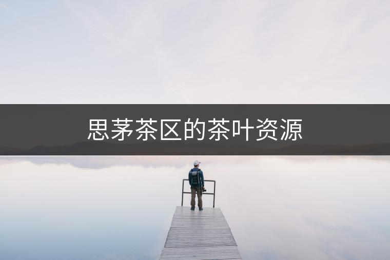 思茅茶區(qū)的茶葉資源