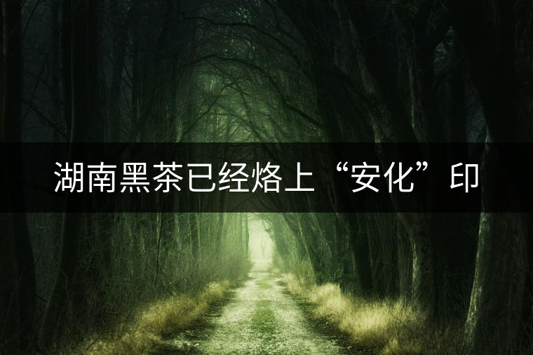 湖南黑茶已經(jīng)烙上“安化”印 湖南黑茶已經(jīng)烙上“安化”印