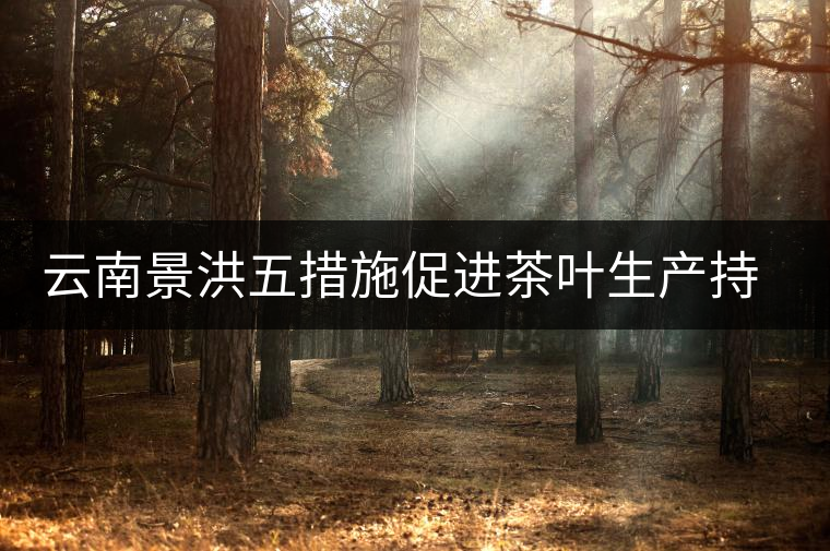 云南景洪五措施促進茶葉生產持續(xù)發(fā)展