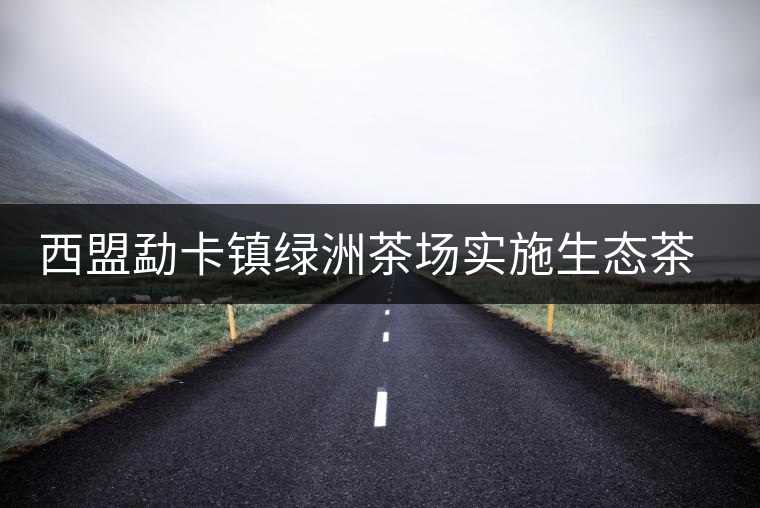 西盟勐卡鎮(zhèn)綠洲茶場(chǎng)實(shí)施生態(tài)茶園改造見(jiàn)效益 西盟勐卡鎮(zhèn)綠洲茶場(chǎng)實(shí)施生態(tài)茶園改造見(jiàn)效益