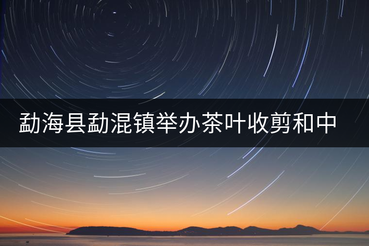 勐?？h勐混鎮(zhèn)舉辦茶葉收剪和中耕培土現(xiàn)場(chǎng)培訓(xùn)會(huì)