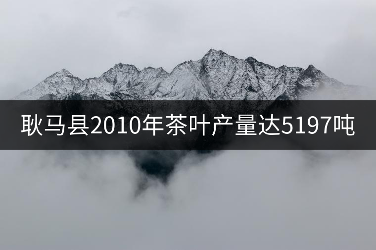 耿馬縣2010年茶葉產(chǎn)量達(dá)5197噸