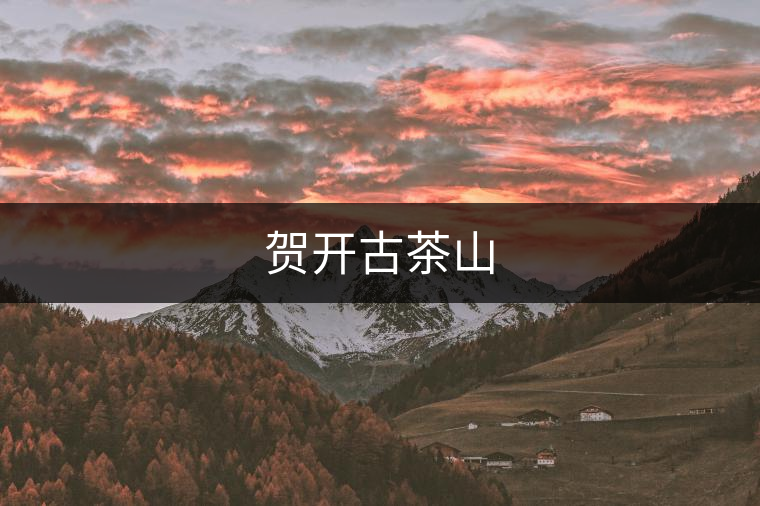賀開古茶山