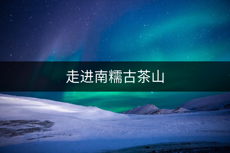 走進(jìn)南糯古茶山 走進(jìn)南糯古茶山