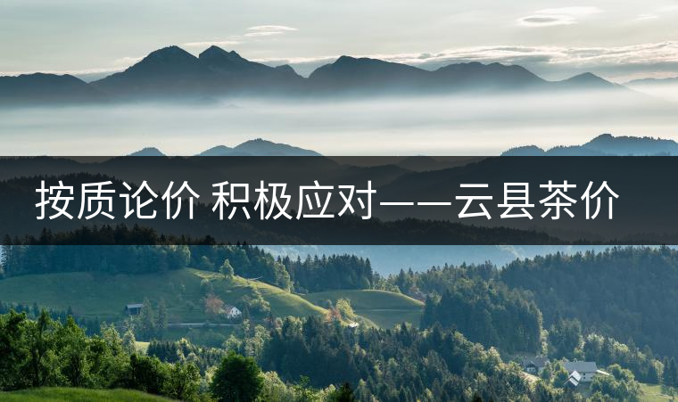 按質(zhì)論價(jià) 積極應(yīng)對(duì)——云縣茶價(jià)實(shí)現(xiàn)理性回歸