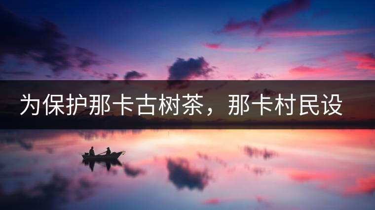 為保護那卡古樹茶，那卡村民設(shè)公約牌