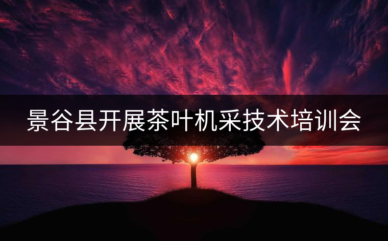 景谷縣開展茶葉機采技術培訓會 景谷縣開展茶葉機采技術培訓會