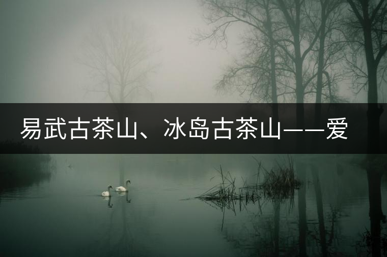 易武古茶山、冰島古茶山——愛(ài)茶人的旅游選擇 易武古茶山、冰島古茶山——愛(ài)茶人的旅游選擇