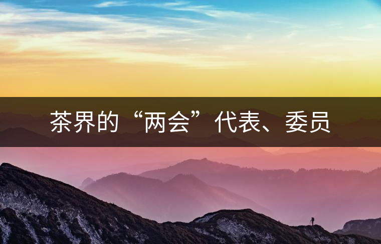 茶界的“兩會”代表、委員