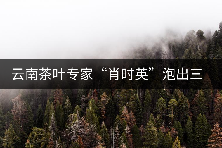 云南茶葉專家“肖時(shí)英”泡出三道茶 云南茶葉專家“肖時(shí)英”泡出三道茶