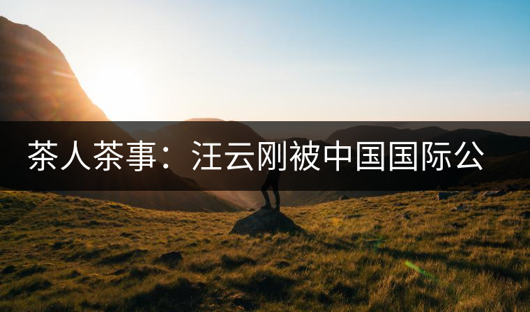 茶人茶事:汪云剛被中國國際公共關系聯(lián)合會聘為專家顧問 茶人茶事:汪云剛被中國國際公共關系聯(lián)合會聘為專家顧問