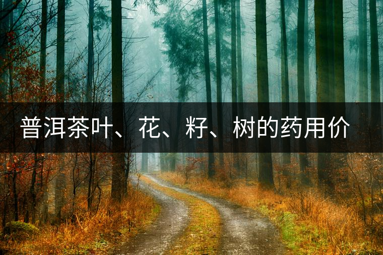 普洱茶葉、花、籽、樹的藥用價值