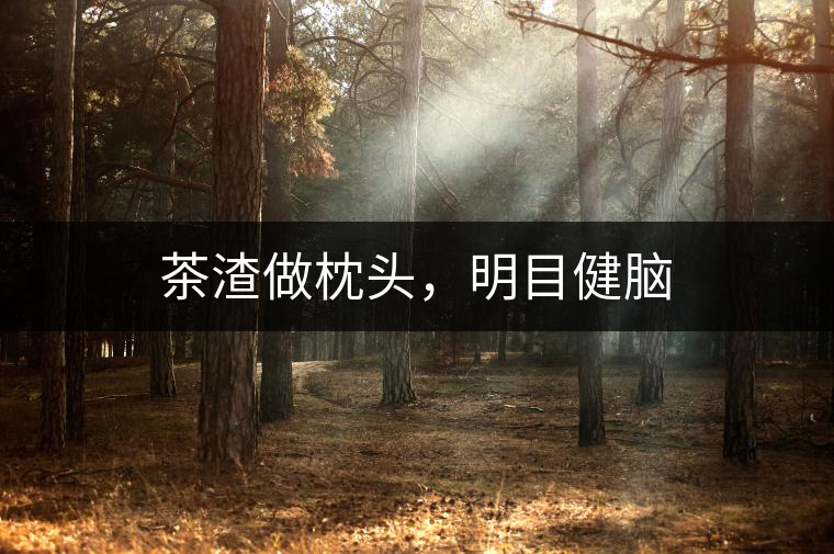 茶渣做枕頭，明目健腦