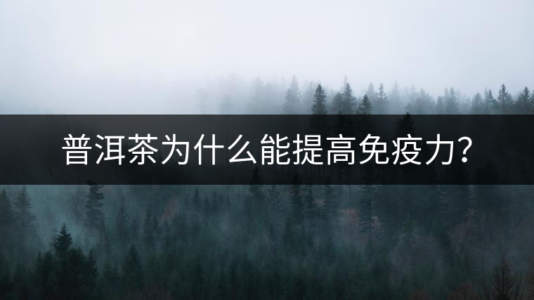 普洱茶為什么能提高免疫力？