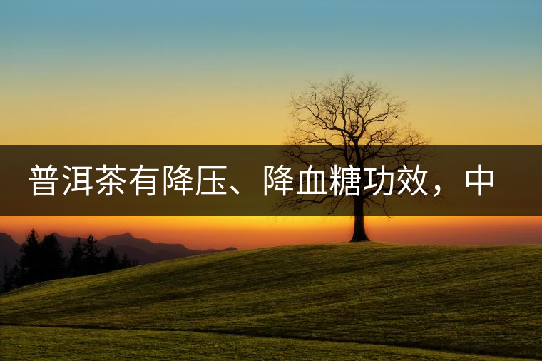 普洱茶有降壓、降血糖功效，中老年人不再懼怕糖尿病